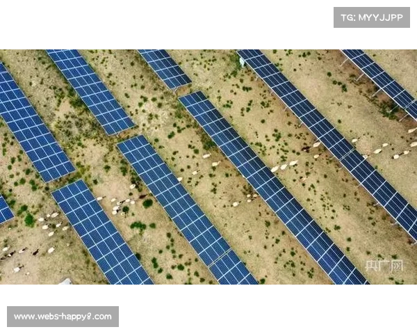 欧洲球场太阳能覆盖率突破38% 生物可降解Tee使用率增至45%推动可持续发展